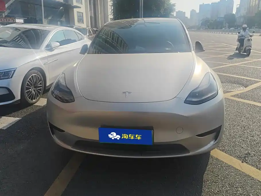 Tesla Model Y — миниатюра 2