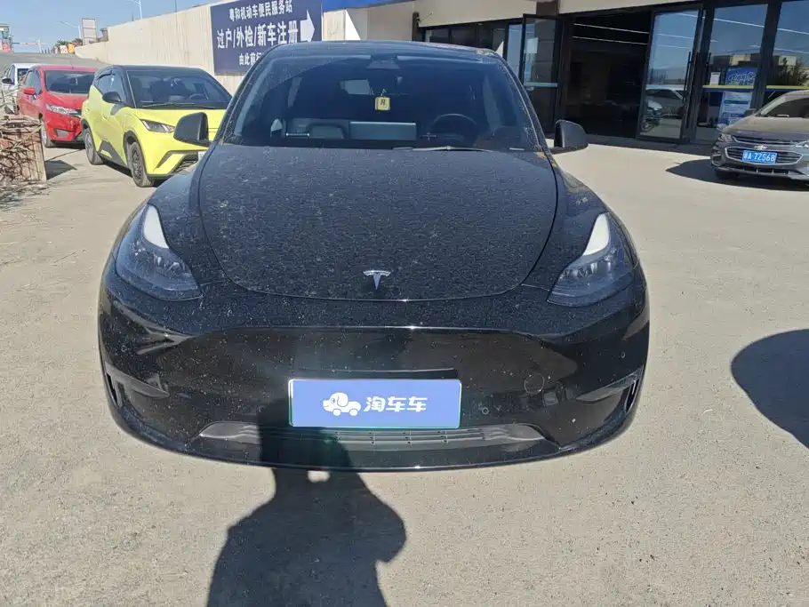 Tesla Model Y — миниатюра 2