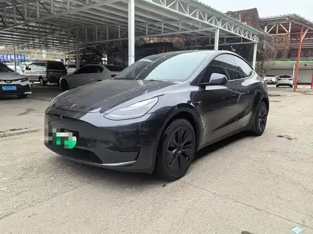 TESLA MODEL Y 2024