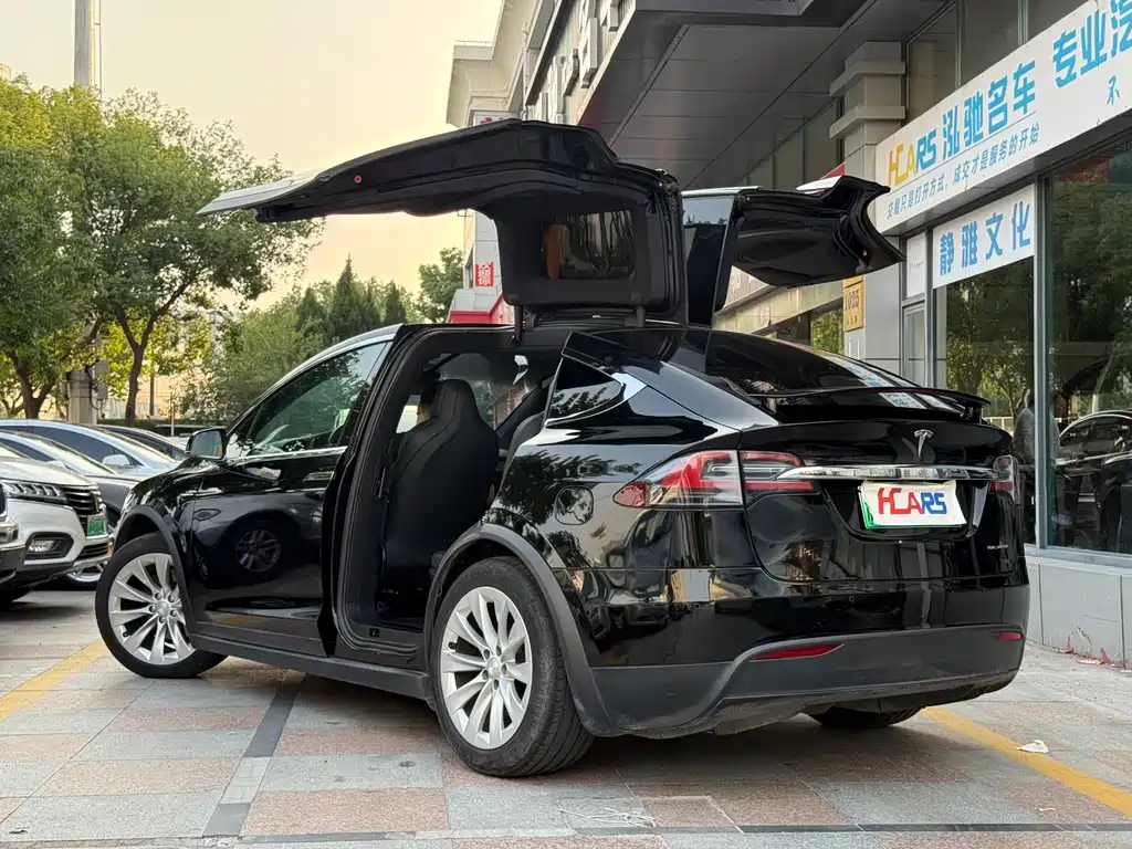 Tesla Model X — миниатюра 4