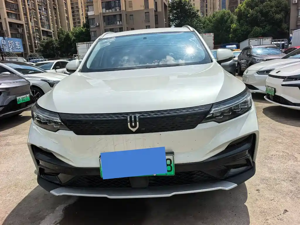 Skyworth EV6 — миниатюра 2