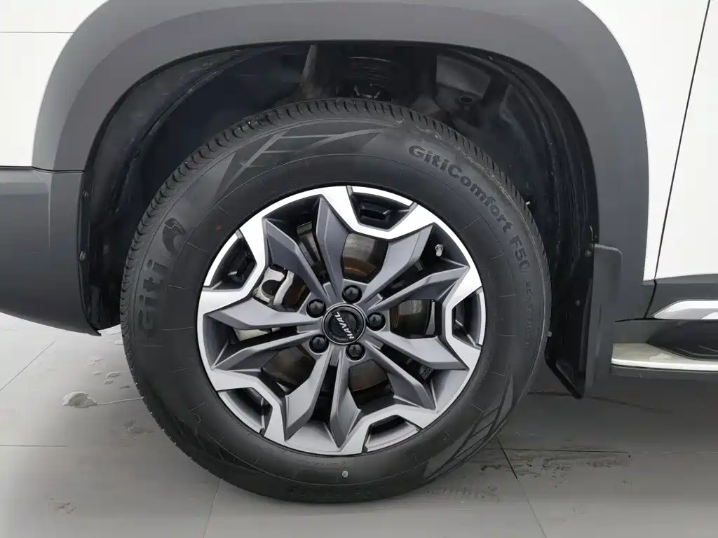 Haval Big Dog — миниатюра 17