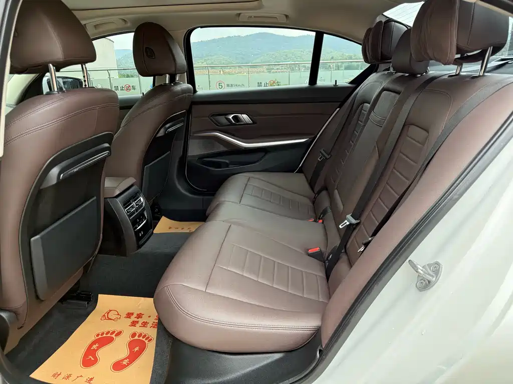 BMW 3 Series 3 2020 325Li