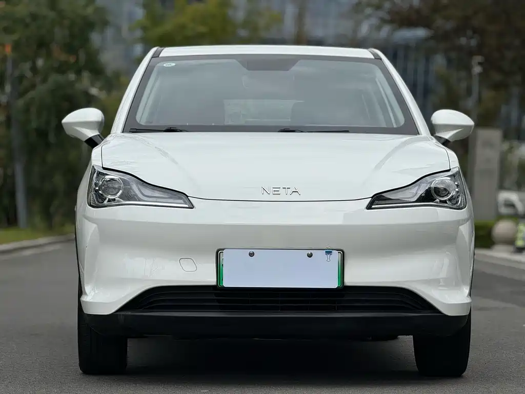Neta V