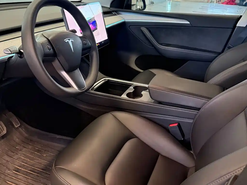 Tesla Model Y — миниатюра 2