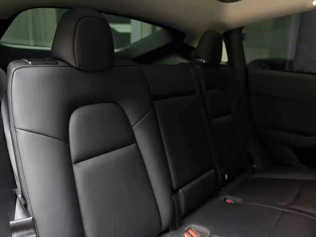 Tesla Model Y — миниатюра 12