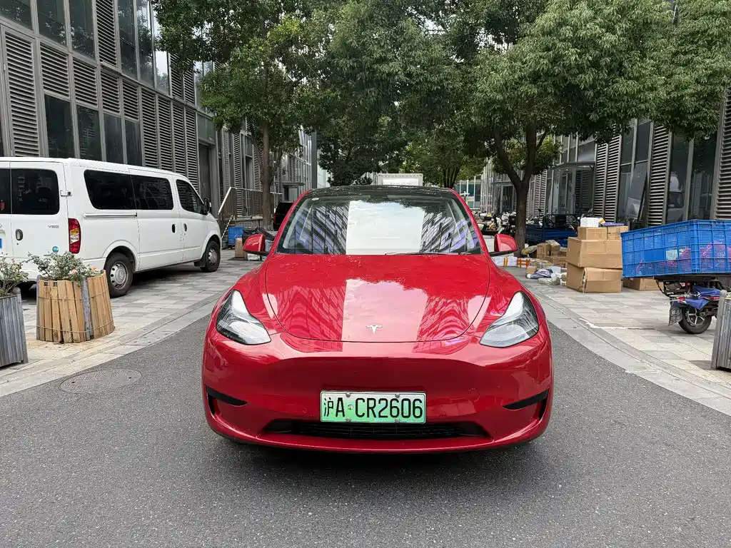 Tesla Model Y — миниатюра 2
