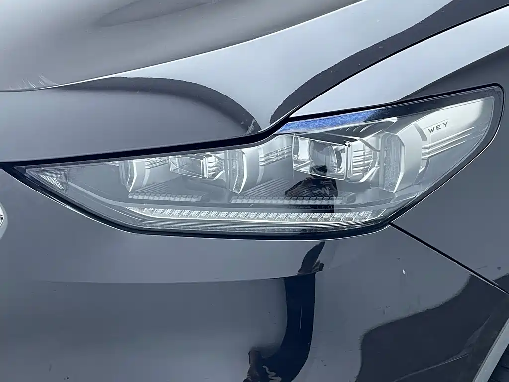 WEI PAI WEI BRAND VV6