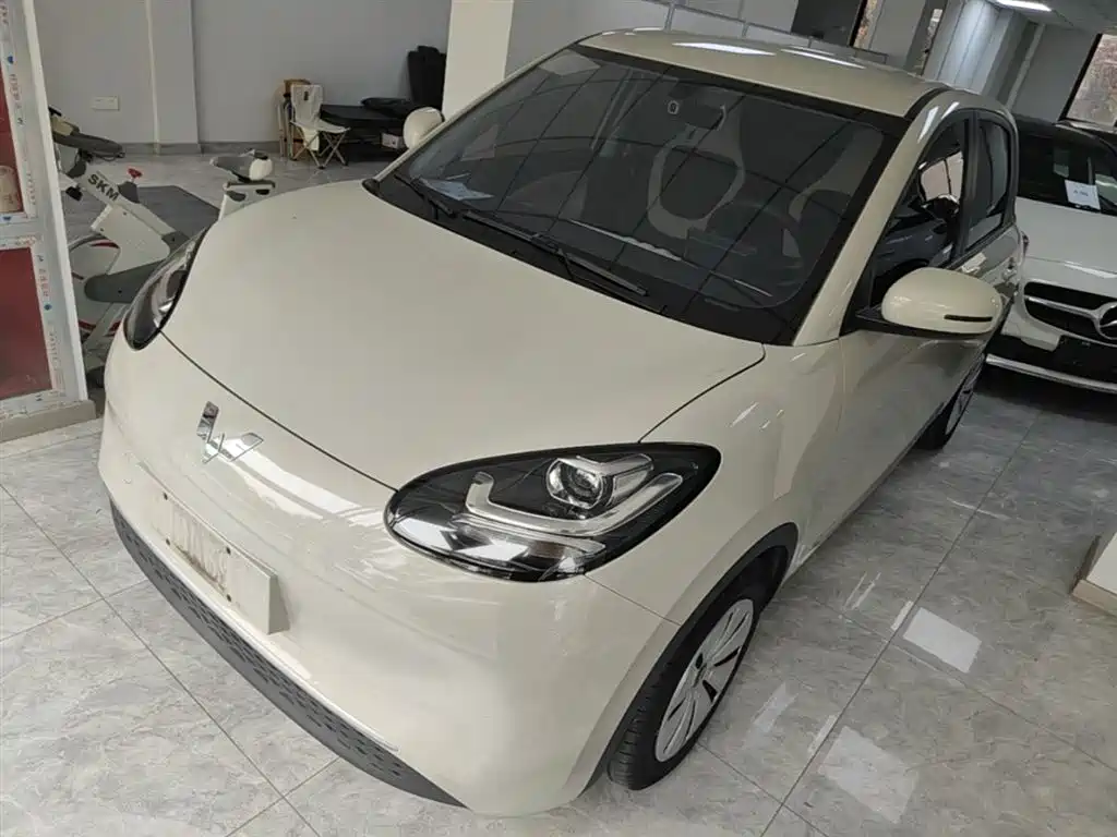 Wuling Binguo 2023 203km Light Enjoy