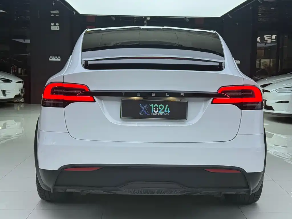 Tesla Model X — миниатюра 10