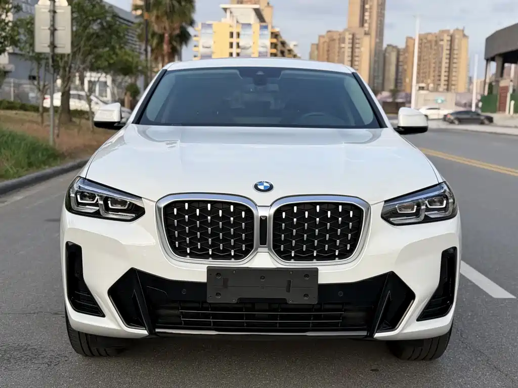 BMW X4 — миниатюра 5