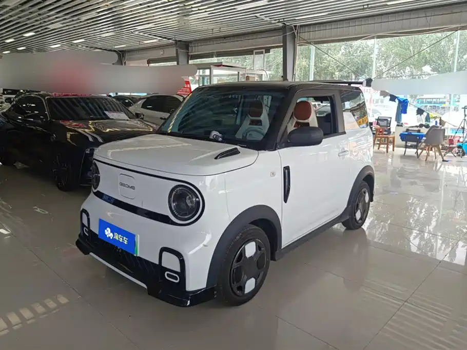 BYD Panda 2025 210km Panda Truck Ding
