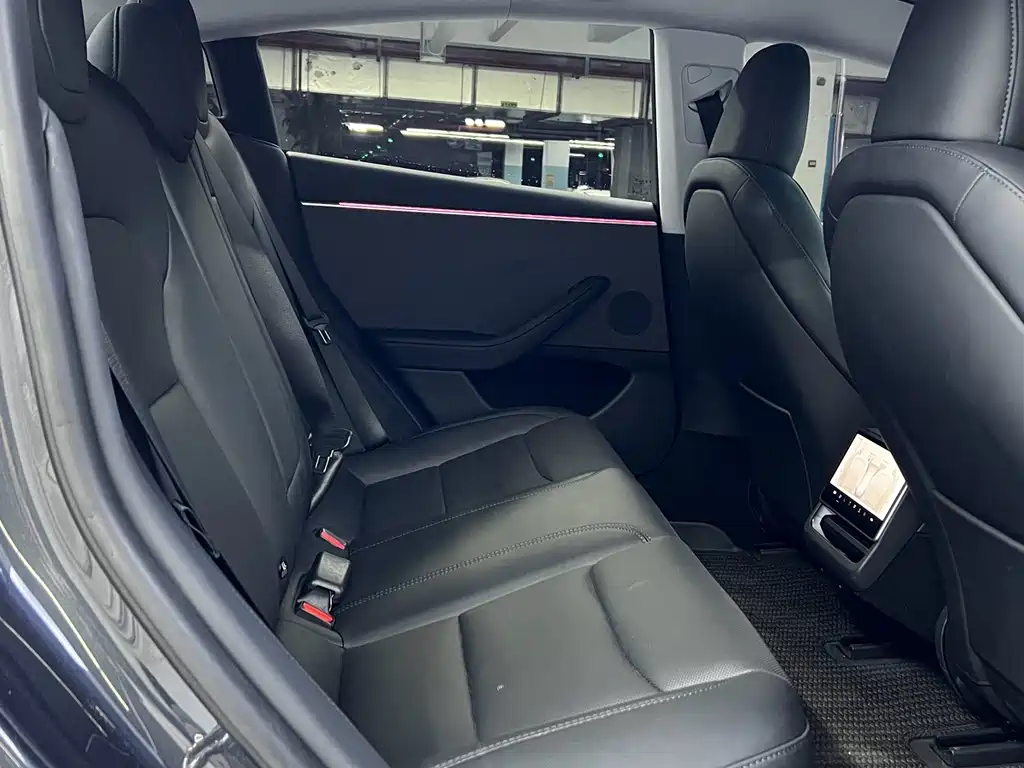 Tesla Model 3 — миниатюра 6