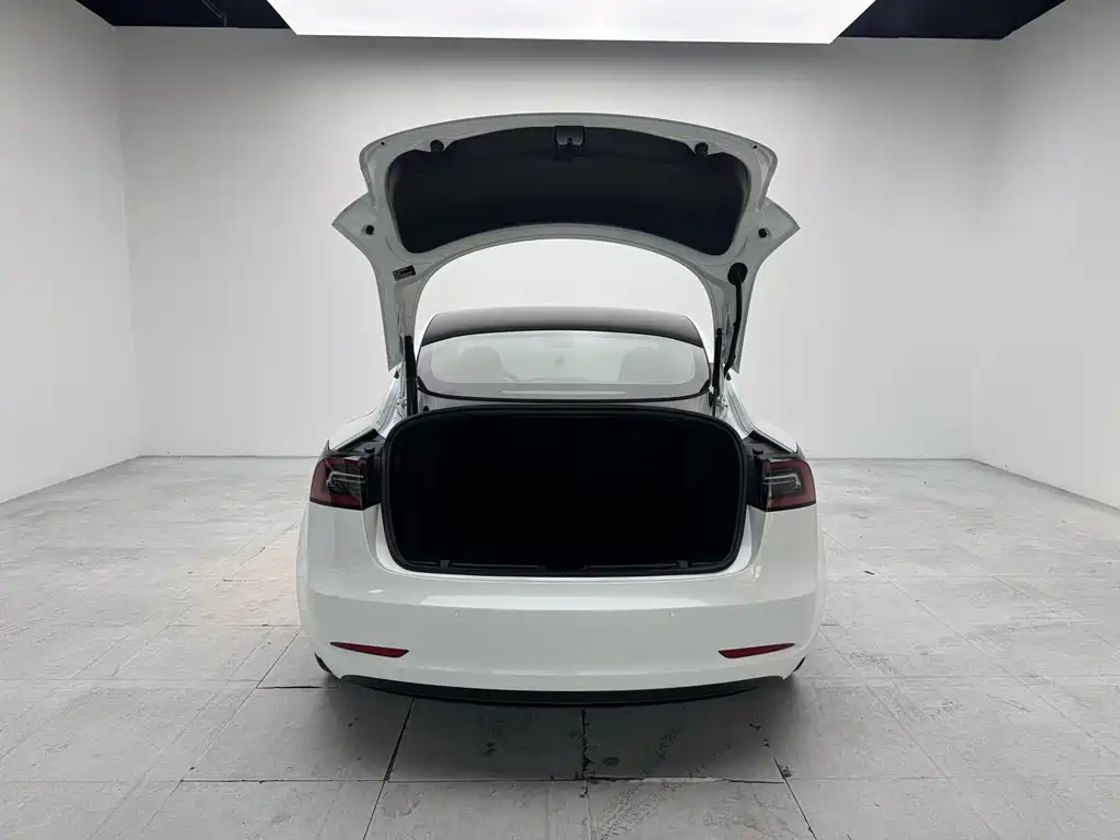 Tesla Model 3 — миниатюра 8