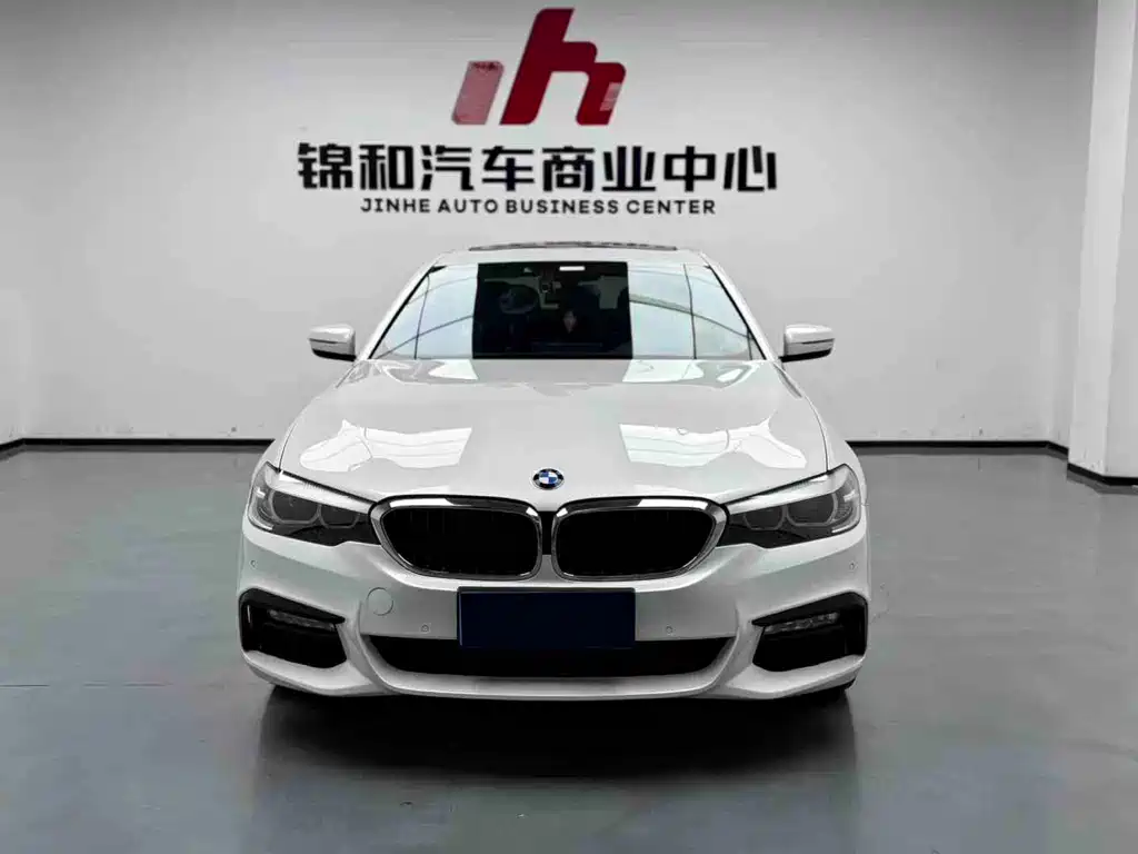 BMW 5 Series 5 2019 530Li Lead Luxury