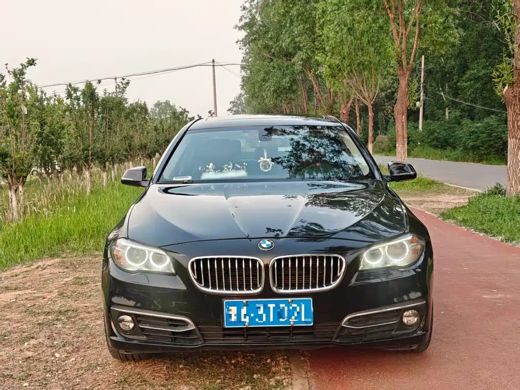 BMW 5 Series 5 2017 525Li Luxury