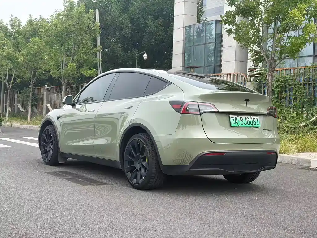 Tesla Model Y — миниатюра 23