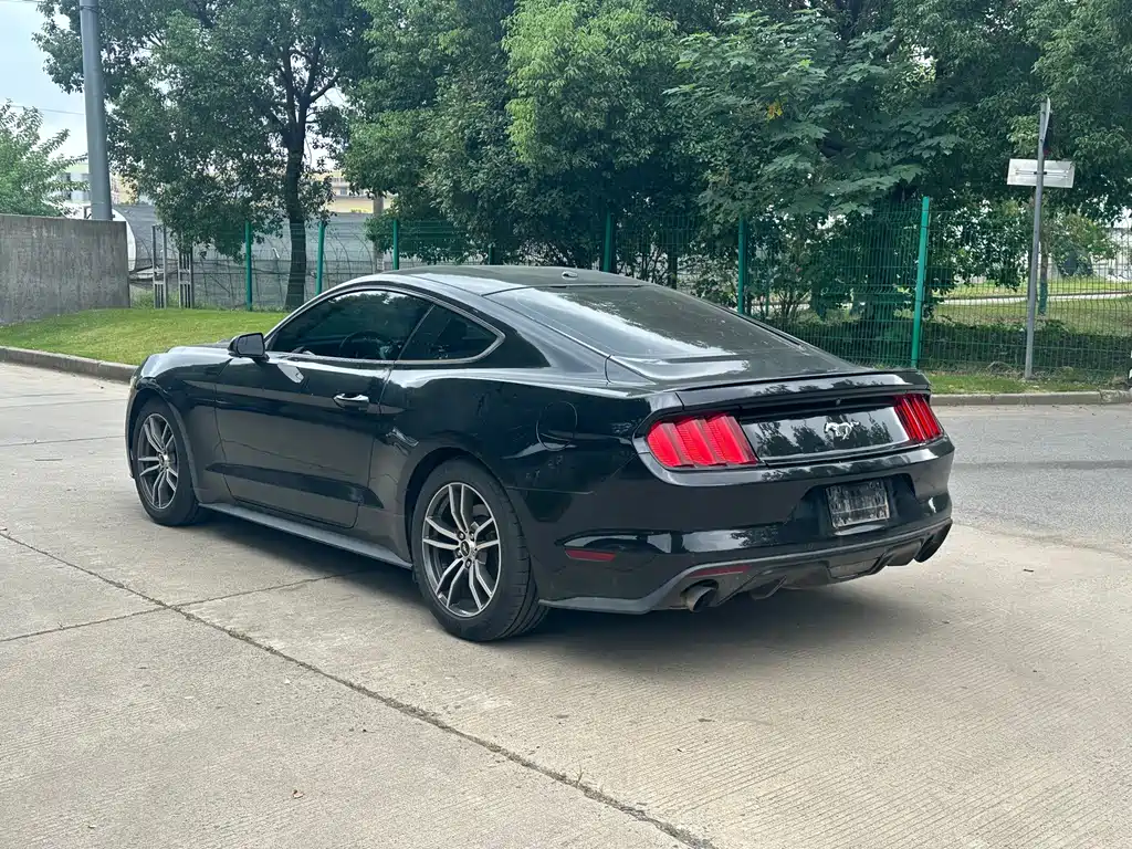 Ford Mustang — миниатюра 7