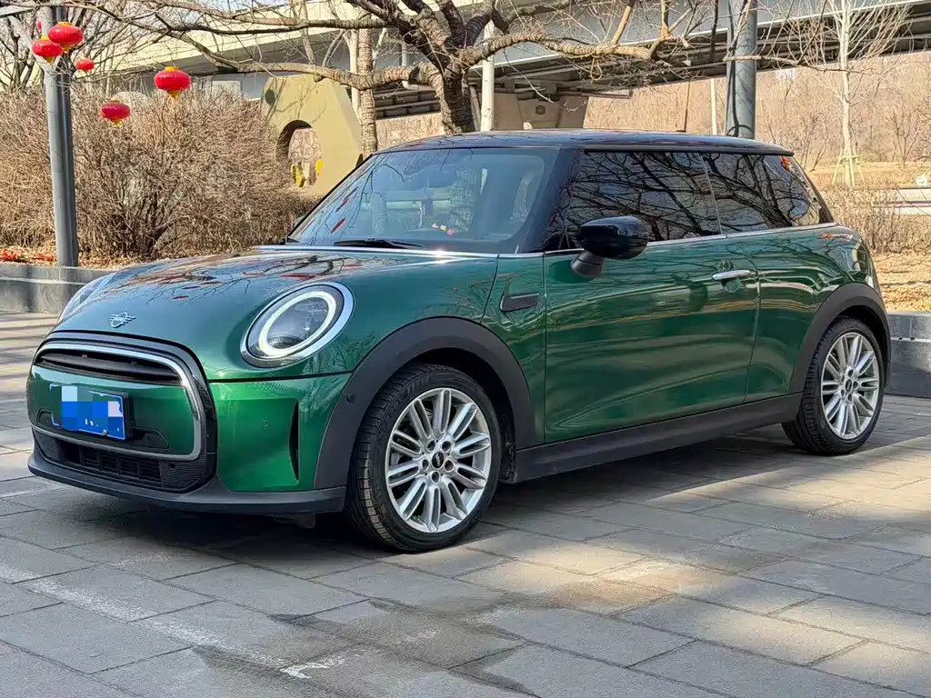 Mini Mini 2021