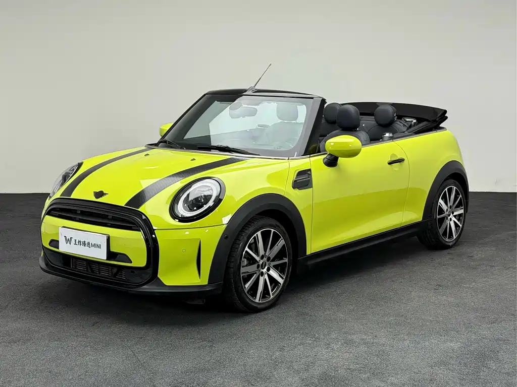 Mini Mini 2021