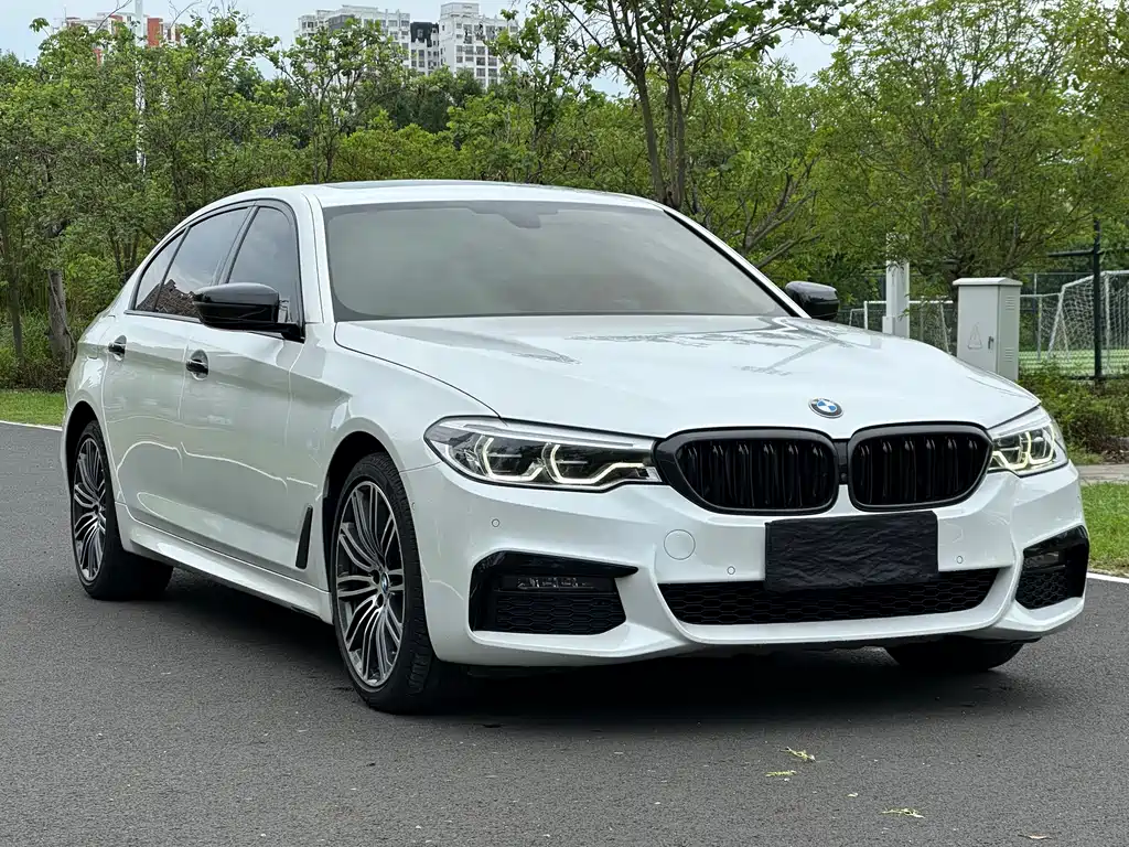 BMW 5 Series 5 2019 530Li Premium M Sport