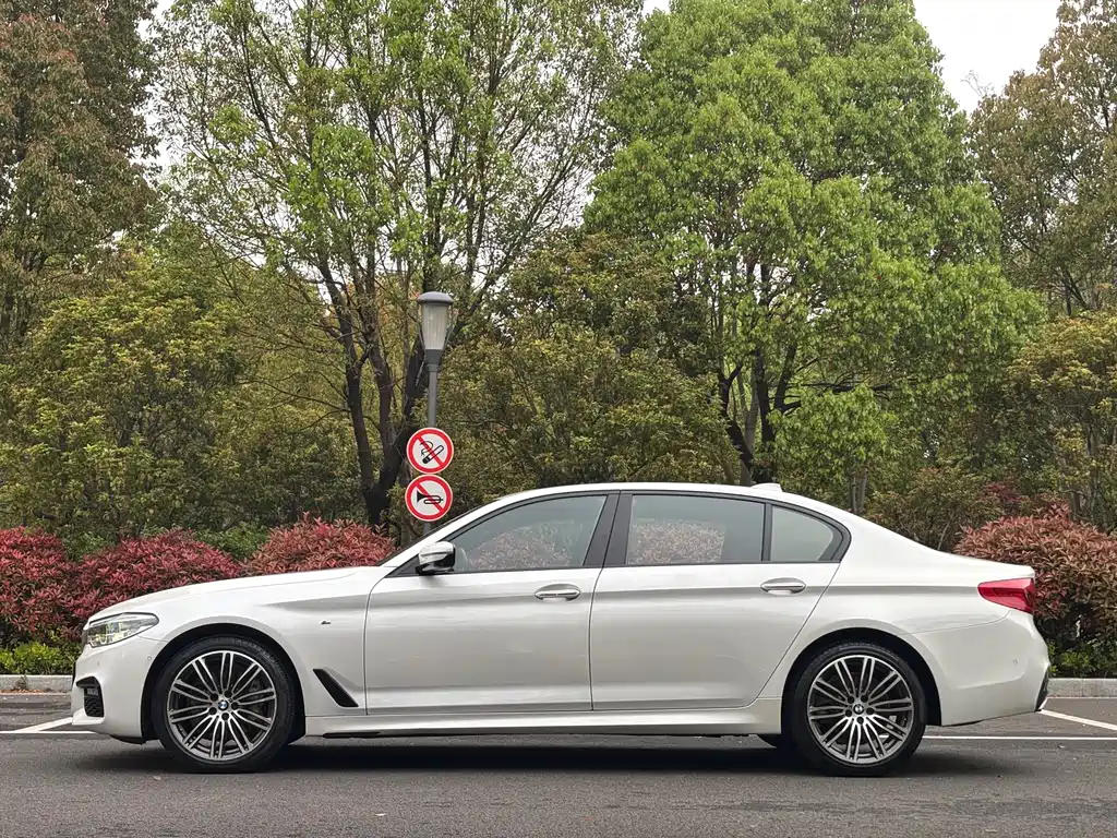 BMW 5 Series 5 2018 530Li Premium M Sport