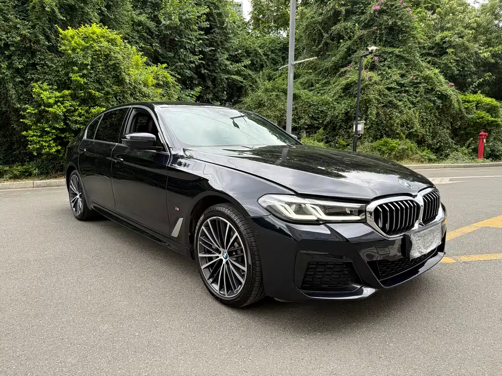 BMW 5 SERIES