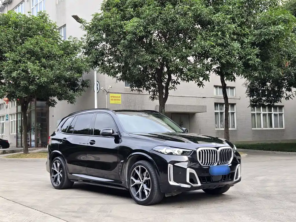 BMW X5 — миниатюра 3