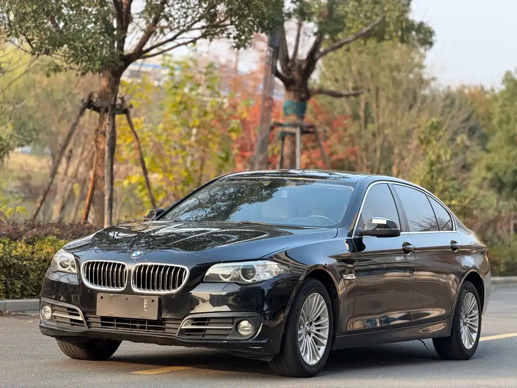 BMW 5 Series 2015