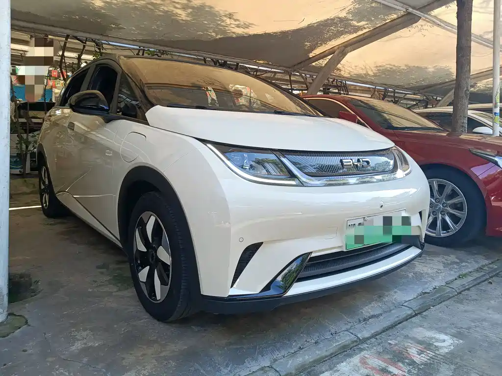 BYD Dolphin 2025 420km Fashion