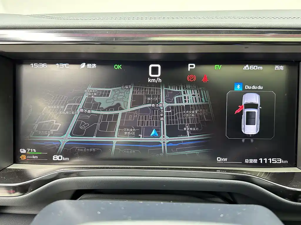 FANG CHENG BAO LEOPARD 5