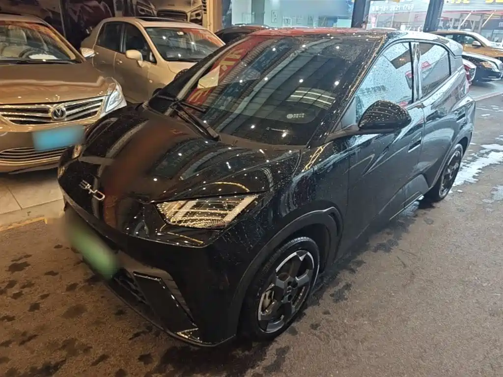 Byd Seagull 2023