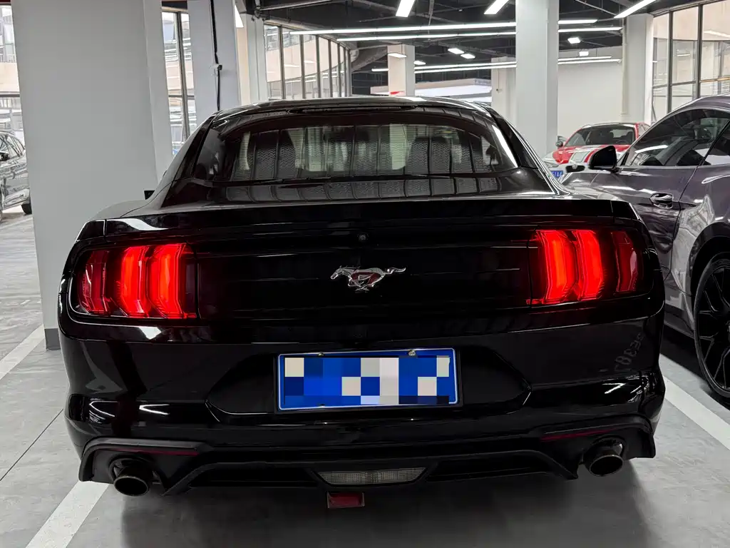 Ford Mustang — миниатюра 15