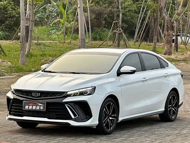 2023 Geely Binrui