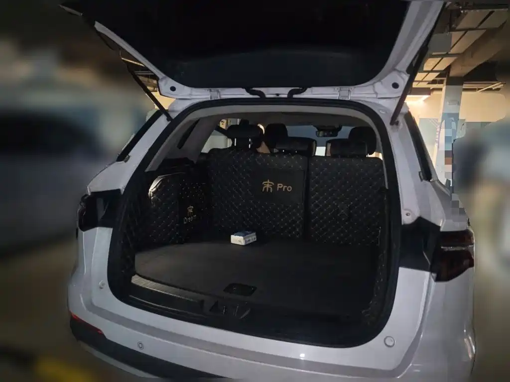 BYD Pro — миниатюра 10