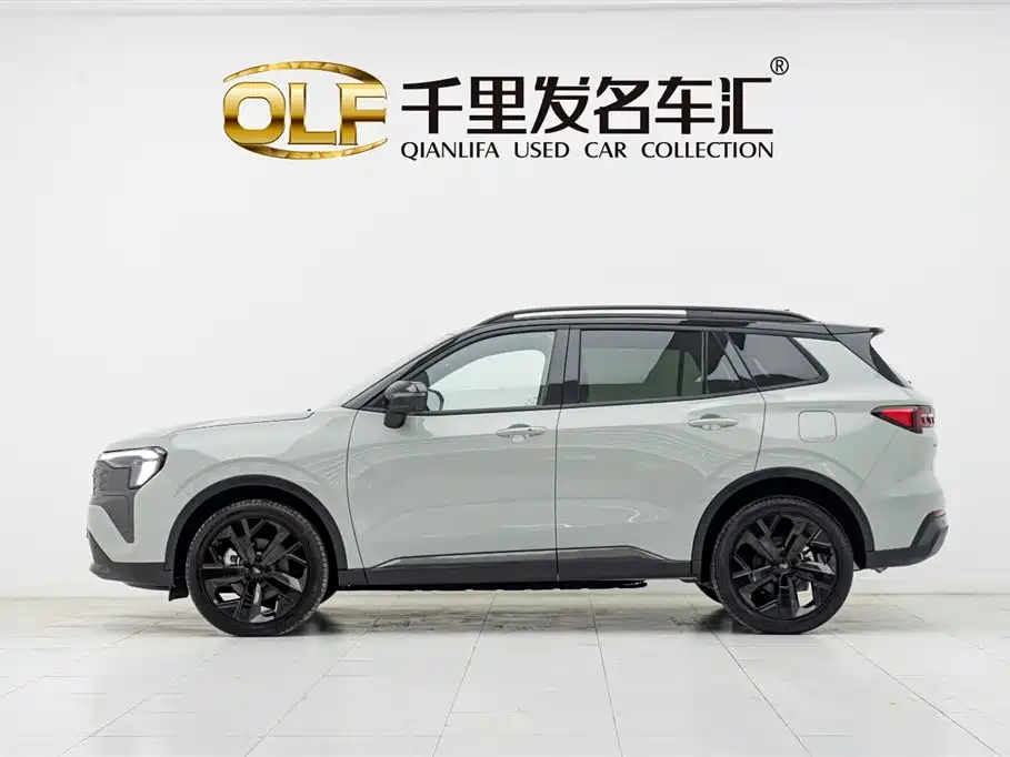 FORD LINGRUI NEW ENERGY
