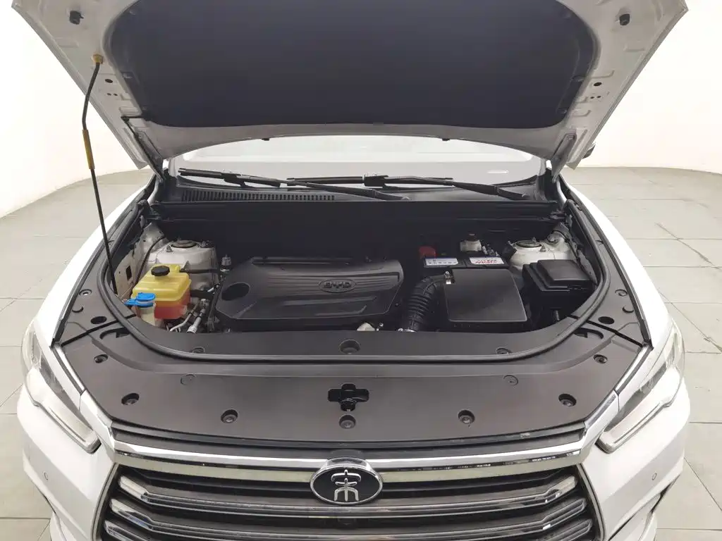 BYD Pro — миниатюра 6