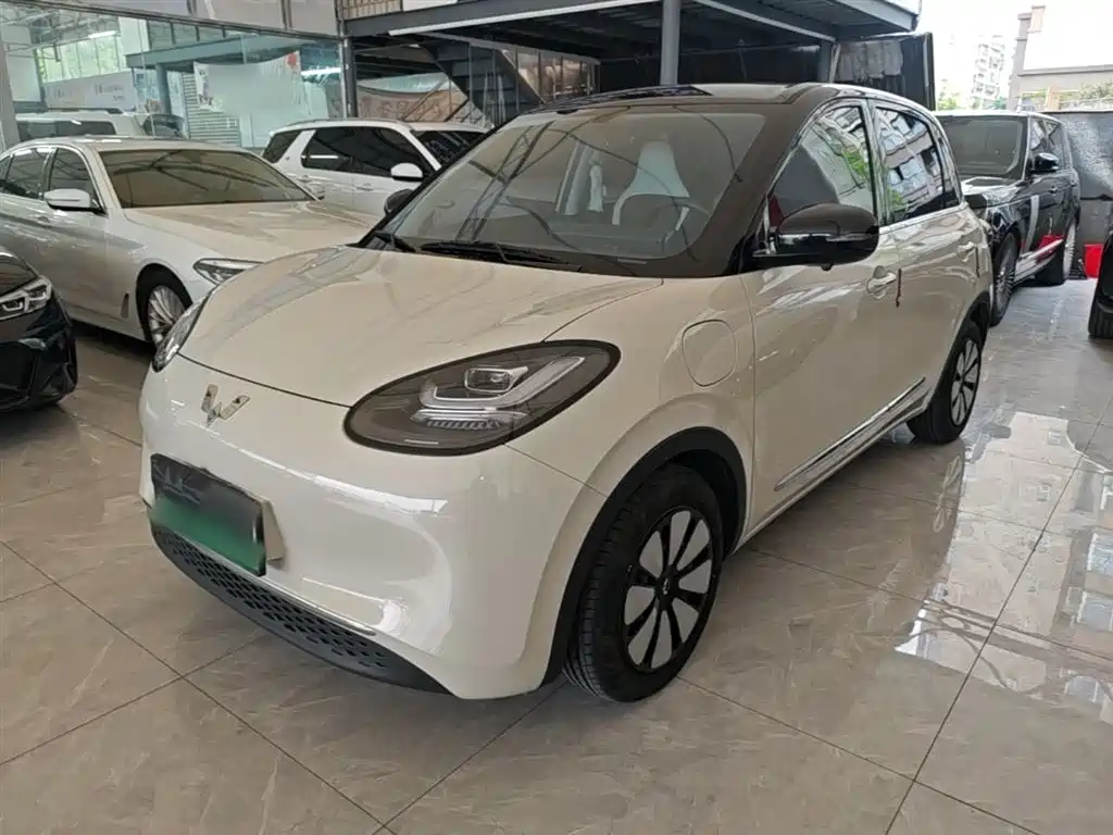Wuling Bingo 2024