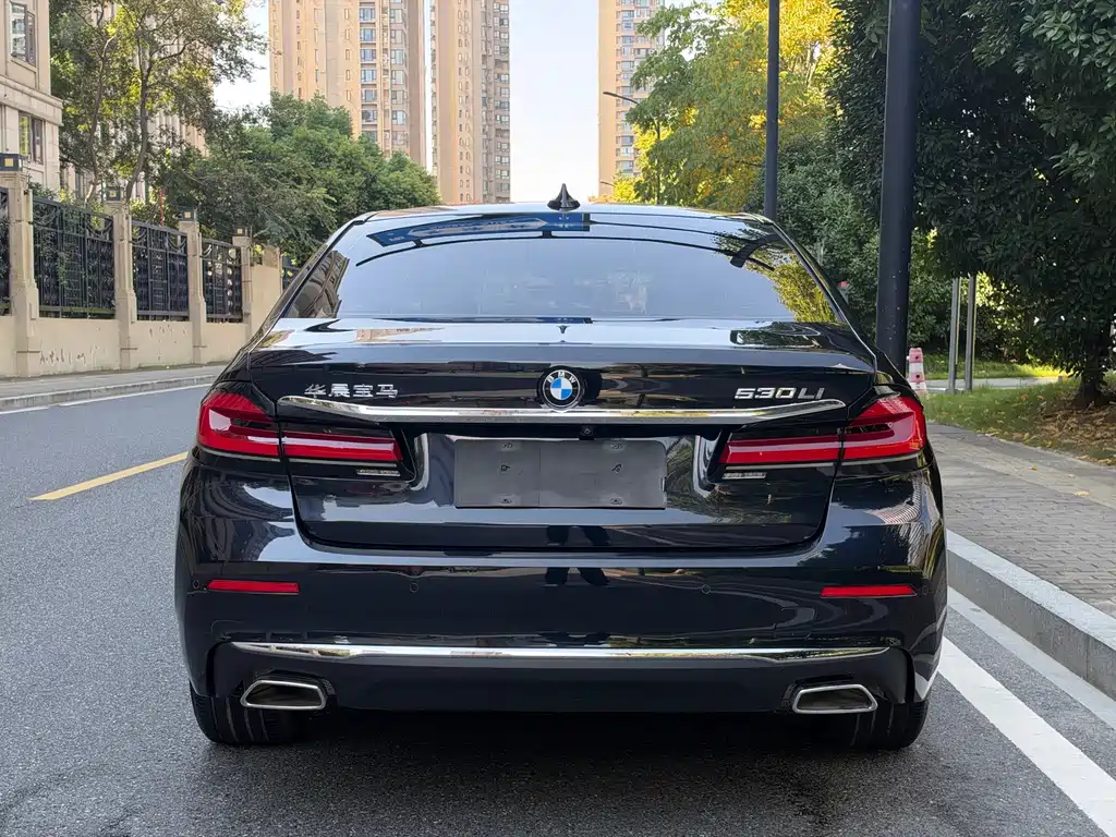 BMW 5 Series — миниатюра 6