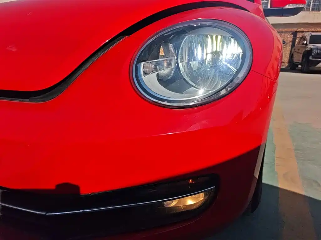 Volkswagen Beetle — миниатюра 24