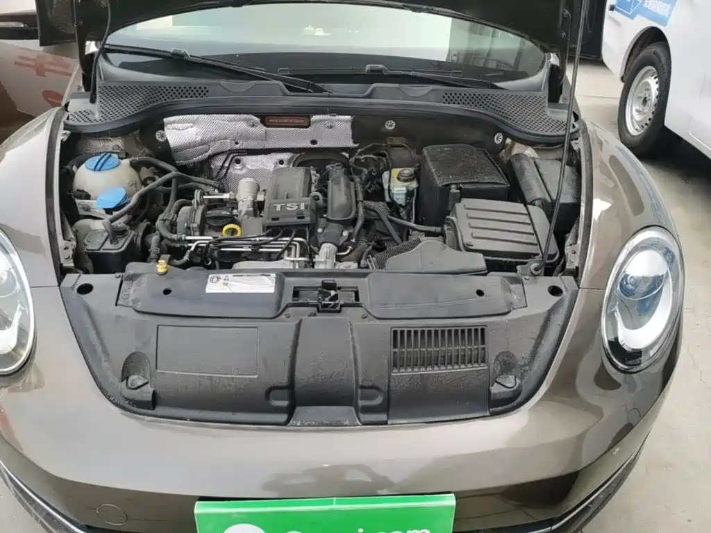 Volkswagen Beetle — миниатюра 20