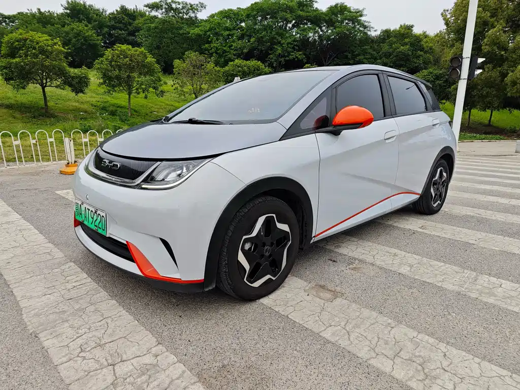 Byd Dolphin 2021