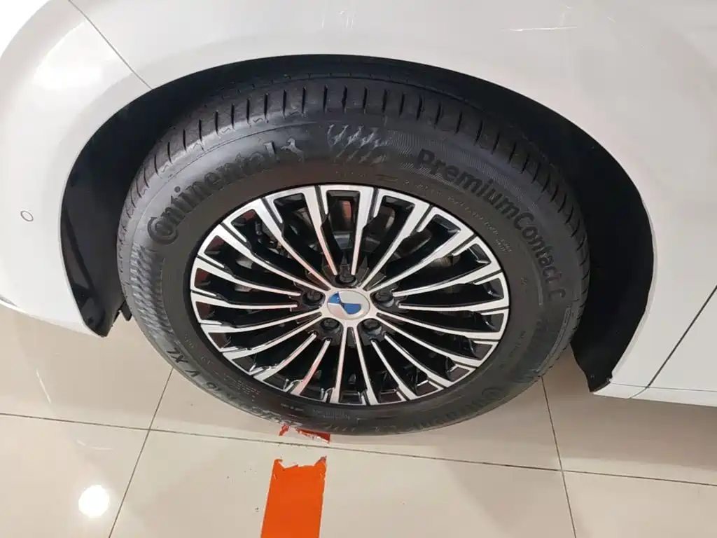 Denza Denza D9 — миниатюра 23