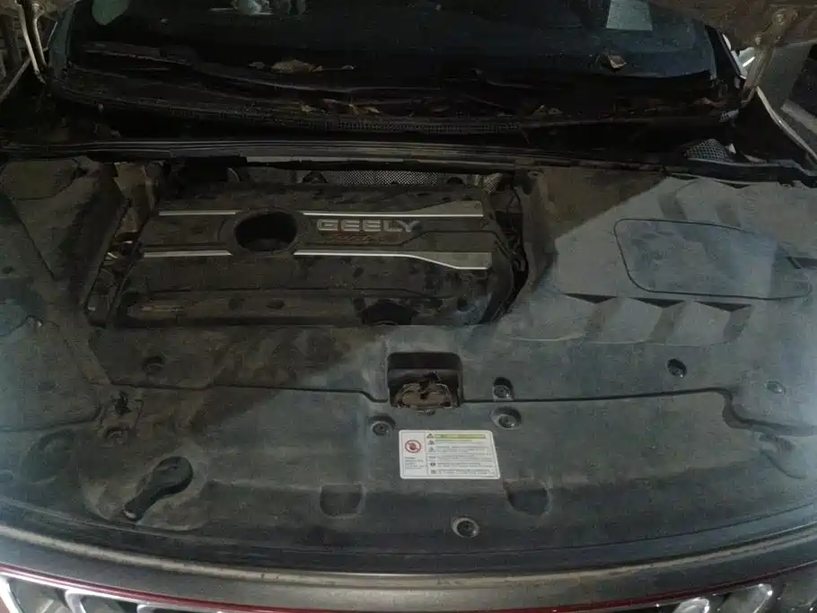 Geely Emgrand GS — миниатюра 10