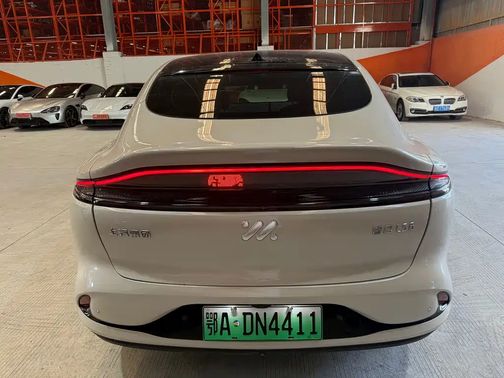 IM IM LS6 — миниатюра 8