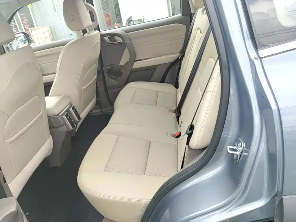 Haval Big Dog — миниатюра 17