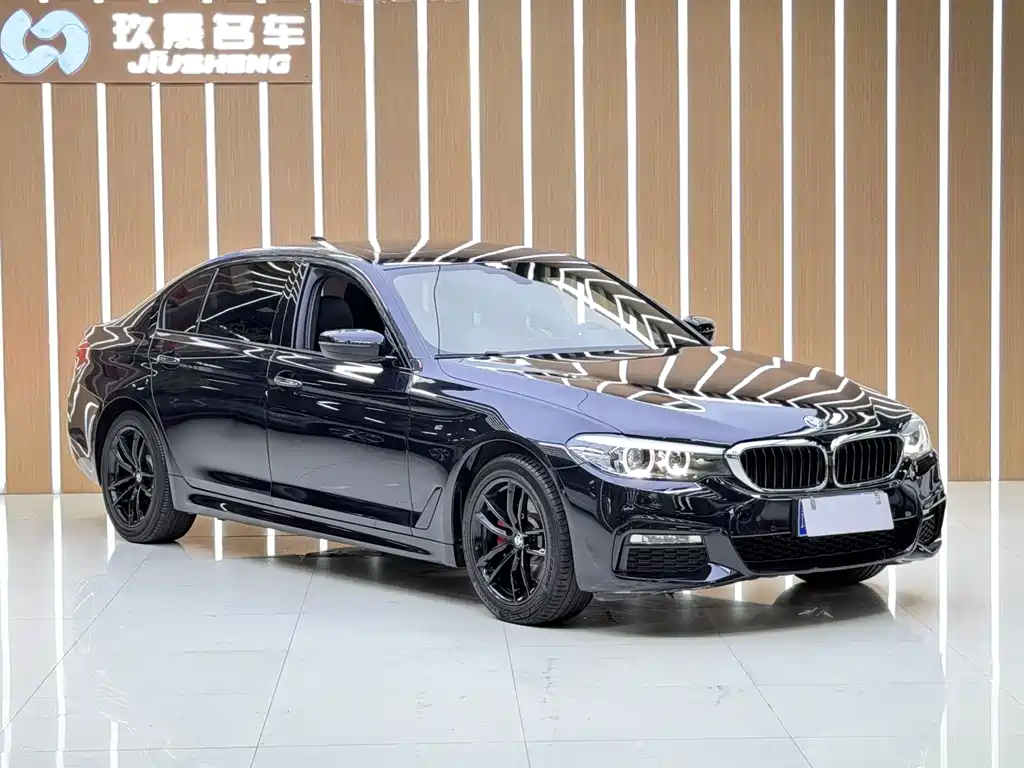 BMW 5 Series — миниатюра 3