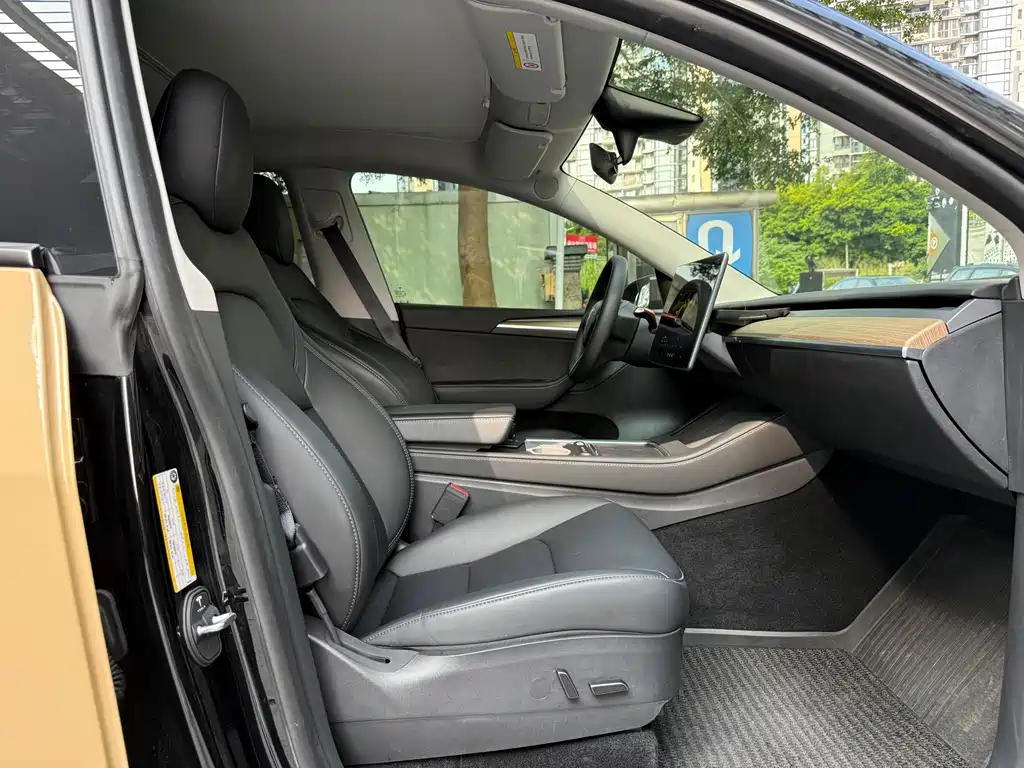 Tesla Model Y — миниатюра 13