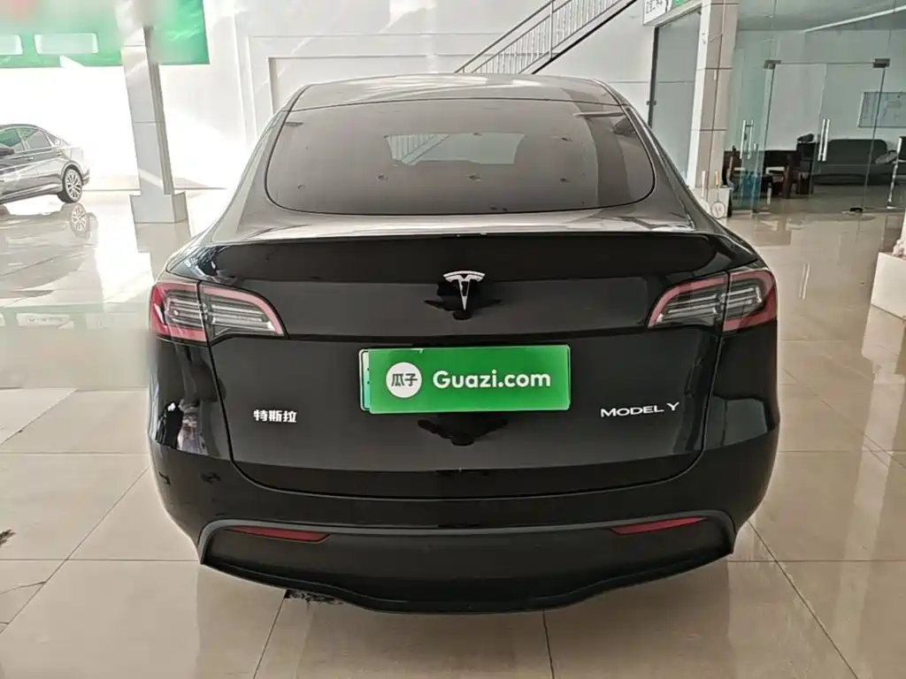 Tesla Model Y — миниатюра 6
