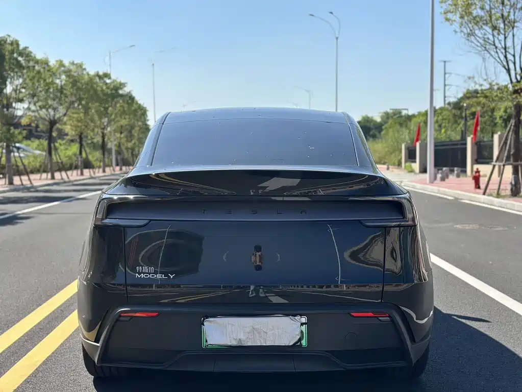 Tesla Model Y — миниатюра 8